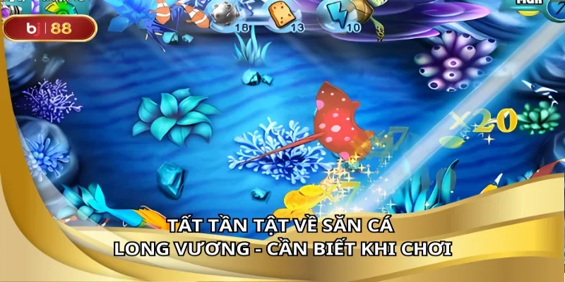 Tất tần tật về săn cá long vương - Cần biết khi chơi